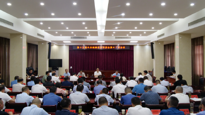 罗兴斌主持召开县委常委会会议强调：以改革精神和严的要求，持续整治形式主义为基层减负
