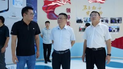 市领导到我县调研重点工业企业发展情况