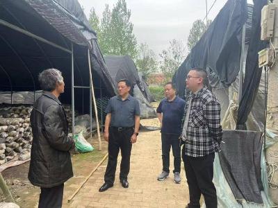 县财政局：精准投放财政衔接资金　助力食用菌产业发展