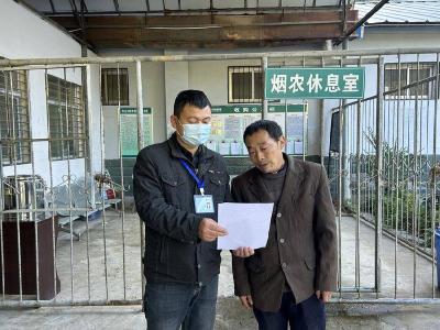 县烟草专卖局：收购正当时　安全不松懈