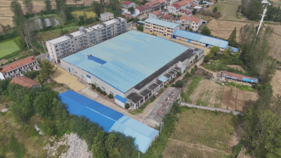 城关镇：靠前高效服务　做实惠企“硬功夫”