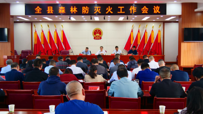 全县森林防灭火工作会议召开