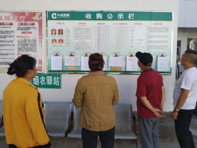 南漳烟区：烤烟收购忙 铺就增收路