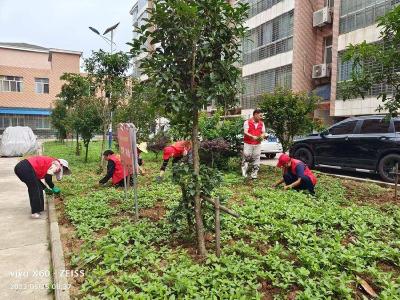 王家坡社区：党员群众齐动手　破旧小区换新颜