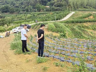 城关镇：发挥人大作用　赋能产业发展