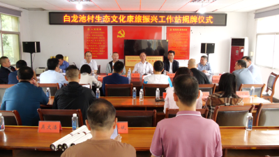 武汉市南漳商会资助武安镇白龙池村生态旅游发展