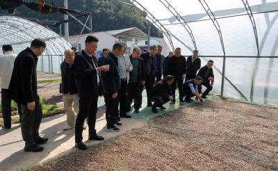 县财政局：乡村振兴看产业 田间地头话丰收