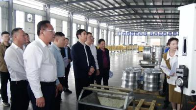 罗兴斌：紧在平时干在当下成在实处，以项目建设之“进”支撑经济发展之“稳”