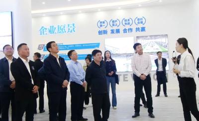 市领导到我县调研指导项目建设工作 