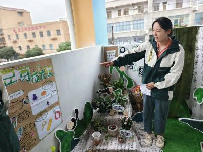 县第三幼儿园举办植物角创设观摩活动