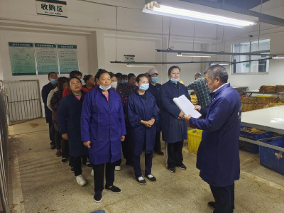 ​县烟草专卖局：收购小晨会 发挥大作用