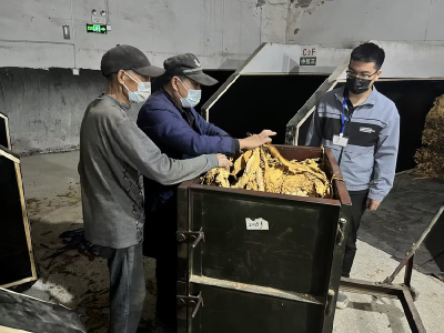 ​县烟草专卖局：专卖利剑护航 筑牢收购防线
