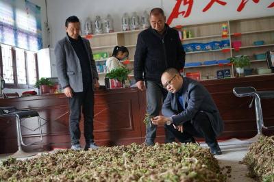 ​肖堰镇：“三个强化” 助推村级集体经济发展壮大