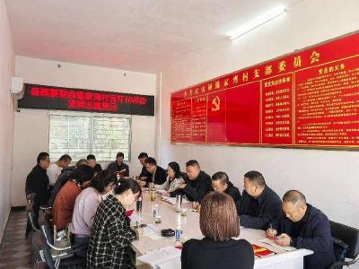 县残联与陈家湾村联合开展10月份支部主题党日活动