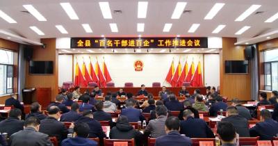 罗兴斌：慎终如始推进“双百”工作走深走实，打赢“收官战”冲刺“满堂红”