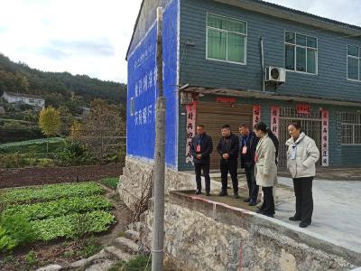 东巩镇人大代表视察调研2024年民生实事项目推进工作