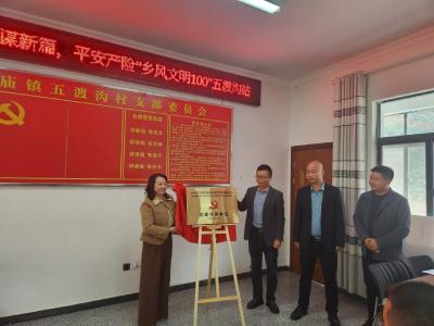 平安产险 “乡风文明100行动”走进我县