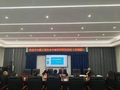 ​县应急管理局组织专家指导帮扶肖堰镇中小微工贸企业