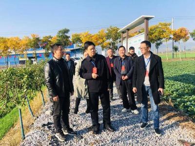 县人大常委会开展高标准农田建设和“小田并大田”情况专题视察