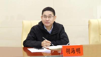 罗兴斌：加强领导完善机制科学谋划，齐心协力推进瑞成新能源项目尽快落地 