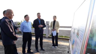 县领导调研我县经济社会发展情况  