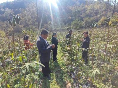 县机关事务服务中心：考察学习促发展　真抓实干谋振兴