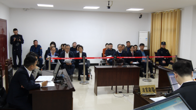 我县组织开展“代表委员看法庭”专项活动  