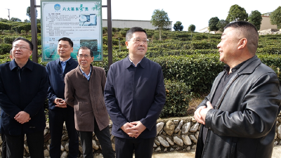市领导到我县开展走访联系代表工作