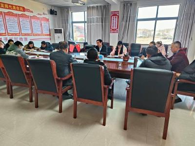 ​九集镇组织开展第四次人大代表小组活动