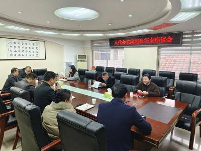 东巩镇：广泛征求代表意见　共谋经济社会发展