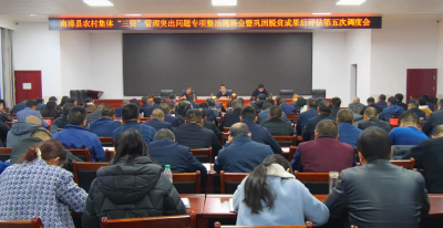 全县农村集体“三资”管理突出问题专项整治现场会召开