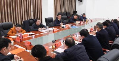 罗兴斌在水镜庄招商项目推进会上强调，以更高站位更宽视野更大力度，加快推动文旅项目建设提速提质提效