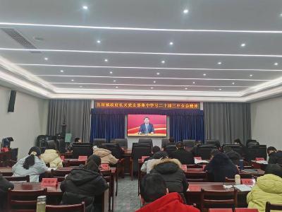 肖堰镇政府机关集中学习党的二十届三中全会精神