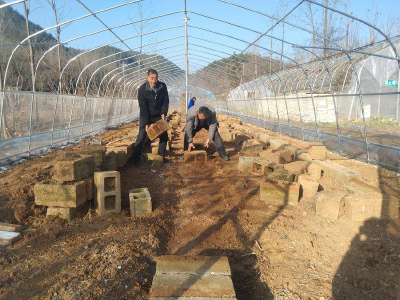 县烟草专卖局：苗棚加固防冰雪 精细管护备来年