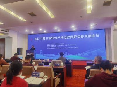 南漳：专利保护显实力 知产交流展风采