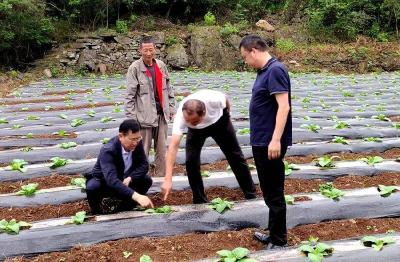 巡检镇财政所：“四突出” 为基层减负显成效