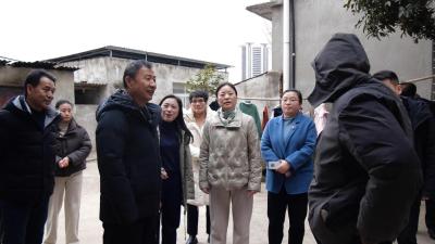 省残联慰问组到我县慰问困难残疾人  