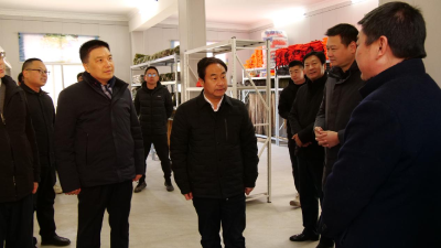 市领导到我县调研基层党建、森林防火等工作