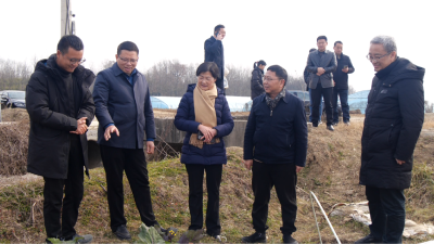 九三学社湖北省委调研组到我县调研乡村振兴工作