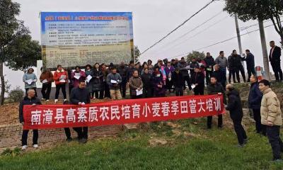 县农技中心：人勤春来早 田间管理忙