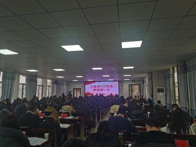 ​九集镇：擘画振兴新图景　奋楫笃行启新程