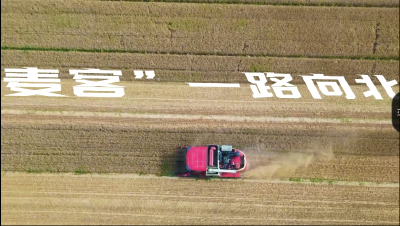一路向北一路歌——南漳老蔡跨越四省的麦收之旅
