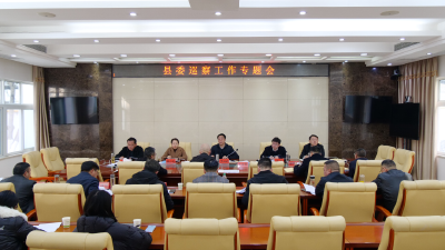 罗兴斌主持召开县委巡察工作专题会时强调：扛牢政治责任发挥利剑作用，以高质量巡察监督推动南漳高质量发展 
