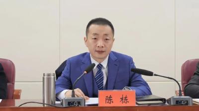陈栋：一体推进高质量发展和高水平安全，切实保障人民群众生命财产安全和社会大局稳定 