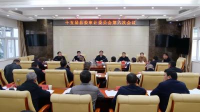 罗兴斌主持召开县委审计委会议强调：全力做好审计整改“下半篇文章”，以高质量审计护航高质量发展
