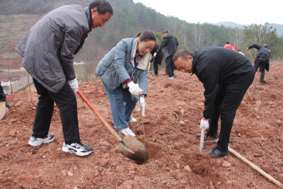 肖堰镇：履职尽责显担当 绿美乡村我先行