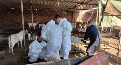 ​全链条推进春防工作 筑牢畜牧业安全屏障