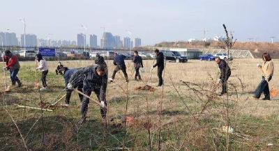 营造绿色环境 共筑平安铁路