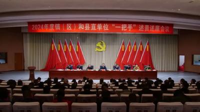 罗兴斌：压紧压实全面从严治党责任，持之以恒净化优化政治生态 