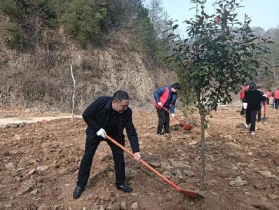 李庙镇财政所开展义务植树活动